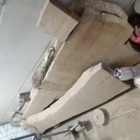 اسلب گردو سیاه