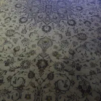 نیاز به خونه جهت همخونه