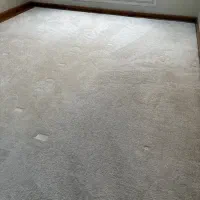 موکت سفید صدفی