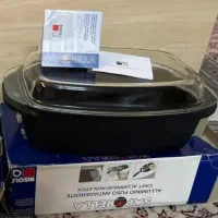 مرغ خوری ریزولی