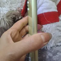 گوشی a54|موبایل|کرج, شهرک جهان‌نما|دیوار