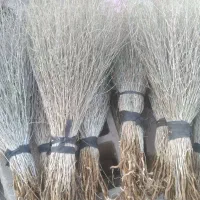 سوپورگ یا همون جارو