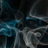 راننده کمپاین هستم