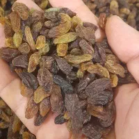 کشمش افتابی درگز ۱۹۰حراج|خوردنی و آشامیدنی|مشهد, عامل|دیوار