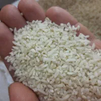 برنج نیم دانه
