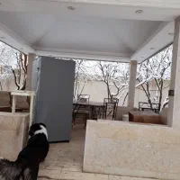 لطفا بخونید