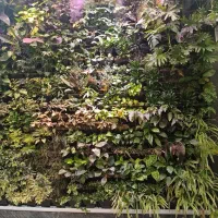 آگهی استخدام مشاور  املاک