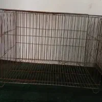 تعدای قفس پرنده