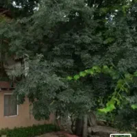 زمین باغ و ویلا