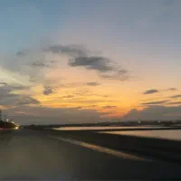 نیروی کار برای قهوه خانه