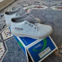 کفش کار|کیف، کفش، کمربند|مهاجران, |دیوار