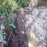 باغ شهر فرهیختگان در ۲۵ کیلومتری جاده تهران