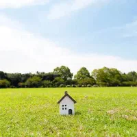 زمین جونقان