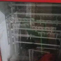 دستگاه جوجه کشی|لوازم جانبی حیوانات|خرمشهر, |دیوار