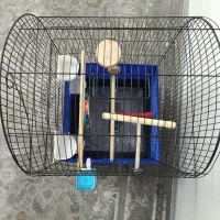 قفس پرنده|لوازم جانبی حیوانات|کرج, گلشهر|دیوار