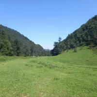 اجاره سوییت|اجارهٔ کوتاهمدت آپارتمان و سوئیت|زیرآب, |دیوار