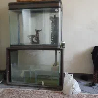 فروش آکواریوم شرکتی