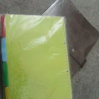 کلاسور