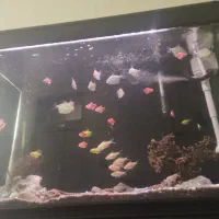 آکواریوم باتمام تجهیزات