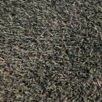 چمن مصنوعی ۲۰ میل آسیا(اصل)
