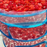 توری میوه خشک کن|ظروف نگهدارنده، پلاستیکی، یک‌بارمصرف|تهران, سبلان (لشگر)|دیوار