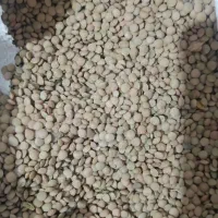 حبوبات بومی