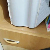 یک جفت عروس هلندی وایت فیس خالص|پرنده|شاهین‌شهر, ۹ دی|دیوار