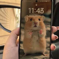 گوشی Oppo a98 5g