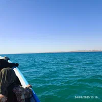تور و گشت جزیره
