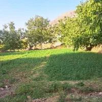 زمین دهبکری