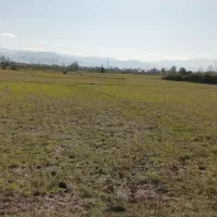 ۱۱۳۰۰مترشالیزارسنتی/زیرقیمت واقعی/چسبیده به انشعاب|فروش زمین و ملک کلنگی|آستانه اشرفیه, |دیوار