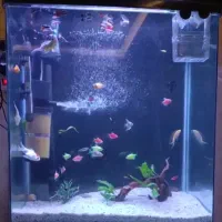 اکواریوم آکوا با میز در حد نو