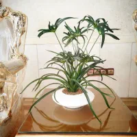 گل مصنوعی ، تزئینی و دکوری