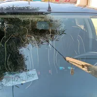 405مدل 84|خودرو سواری و وانت|بم, |دیوار