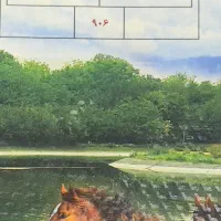 کلاس خصوصی علوم هشتم و نهم