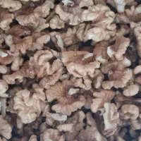 فروش مغز گردو