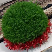 سبزه آماده|گل و گیاه طبیعی|کوهدشت, |دیوار