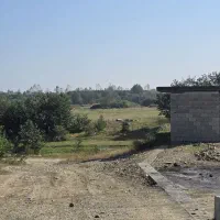 10هکتار زمین شخصی ۳هکتار مجوز متری ۸۰۰ تومان|فروش زمین و ملک کلنگی|شیرود, |دیوار