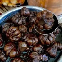 سیر ترشی