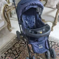 کالسکه دلیجان