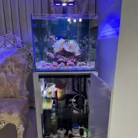 اکواریوم ابشور اب شور و لوازم ماهی