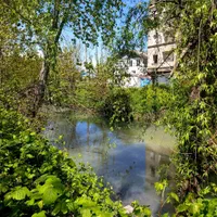 فروش خانه زمین ۳۴۰ متری پل احمد خیابان حافظ|فروش خانه و ویلا|آستارا, |دیوار