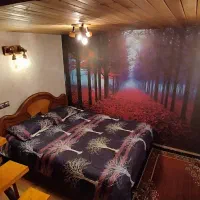 اجاره ویلا چوبی مدرن با جکوزی آب گرم|اجارهٔ کوتاهمدت ویلا و باغ|تهران, سوهانک|دیوار