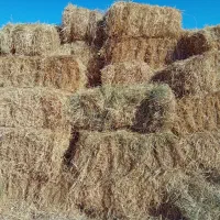 پرس کاه|عمده‌فروشی|مشهد, شهرک صنعتی توس|دیوار