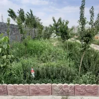 باغچه 700متری قابل معاوضه