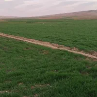 فروش زمین کشاورزی در شباب متراژ ۳ هزار ۶۷۰ متر