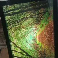 تابلو عکس چراغ دار