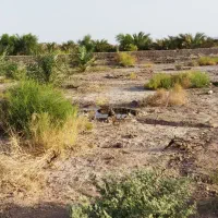 فروش یک ساعت اب زمین کشاورزی