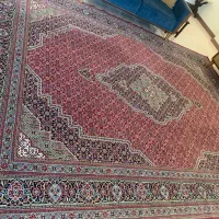 فرش 12 متری ماشینی طرح تیغ ماهی|فرش|بابل, |دیوار