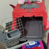 لوازم و باکس های گربه تکمیل|لوازم جانبی حیوانات|تهران, افسریه شمالی|دیوار